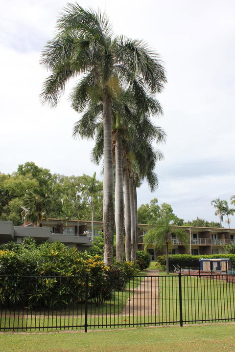 Arcadia Village Motel - Accommodation Cooktown 19