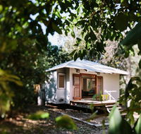 The Little Bush Hut