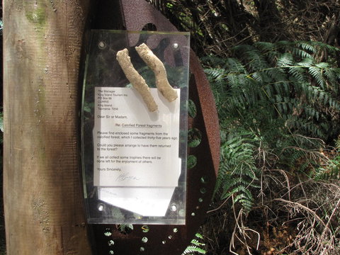 King Island Accommodation Cottages - Accommodation Cooktown 42