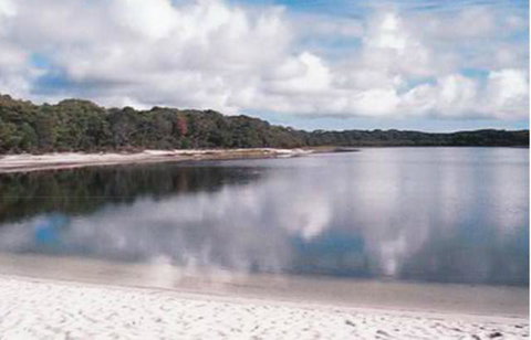 King Island Accommodation Cottages - Accommodation Cooktown 17