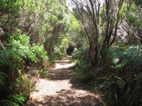 King Island Accommodation Cottages - Accommodation Cooktown 12