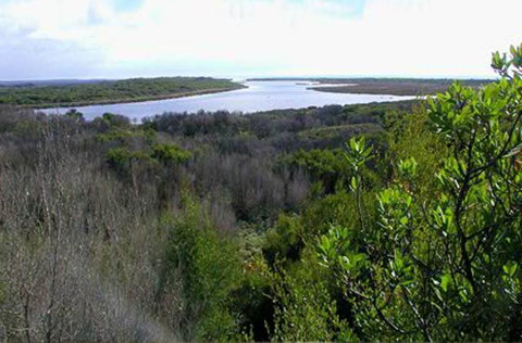 King Island Accommodation Cottages - Accommodation Cooktown 20