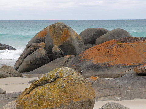 King Island Accommodation Cottages - Accommodation Cooktown 40