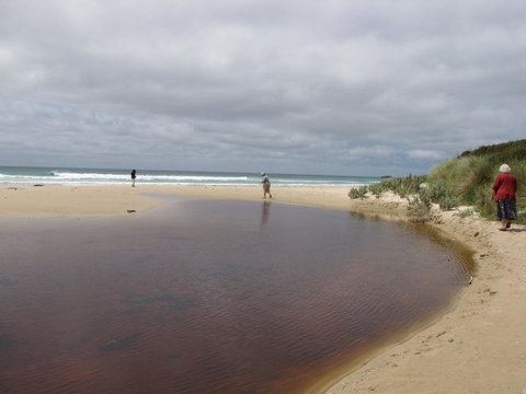 King Island Accommodation Cottages - Accommodation Cooktown 25