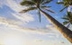 Casa Palma - thumb 4