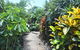 Cooktown Motel - thumb 3
