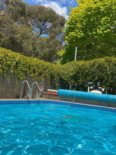 Creek Front House - Accommodation Cooktown 1