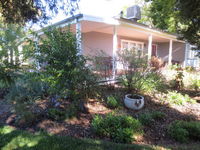 Book Irymple Accommodation Vacations Accommodation Cooktown Accommodation Cooktown
