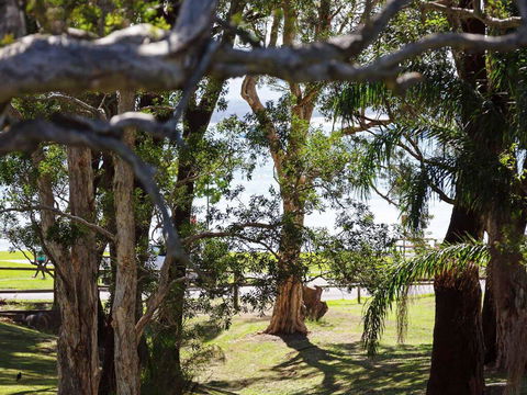 34 'Bay Parklands', 2 Gowrie Avenue - WIFI, Views, Pool, Spa & Tennis Court - Accommodation Cooktown 0