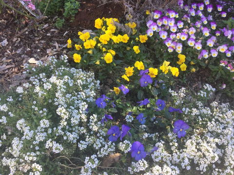 A Very French House - Accommodation Cooktown 2