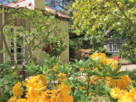 Adelaide Hills 'Camellia Cottage' - WiFi - Accommodation Cooktown 1
