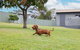 Illaroo House 16 Verona Rd - Pet Friendly, Boat Parking, Wi-Fi - thumb 2