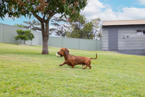 Illaroo House 16 Verona Rd - Pet Friendly, Boat Parking, Wi-Fi - Accommodation Cooktown 2