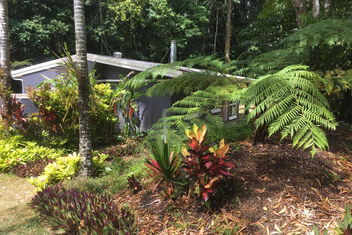 Honeybee House with Accommodation Cooktown