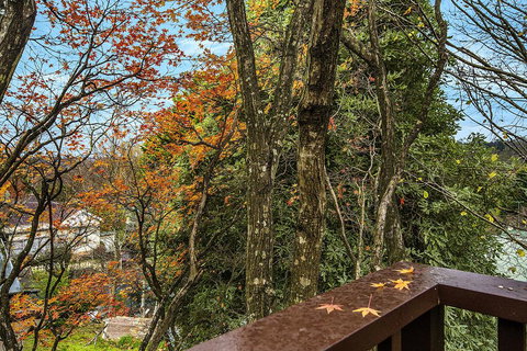 Allambee - Accommodation Cooktown 2