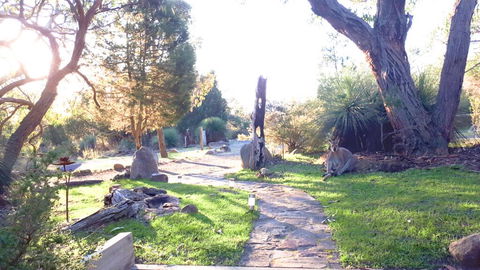 Aquila Eco Lodges - Accommodation Cooktown 3