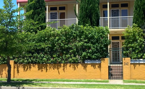 Armidale Ace Apartments - Accommodation Cooktown 2