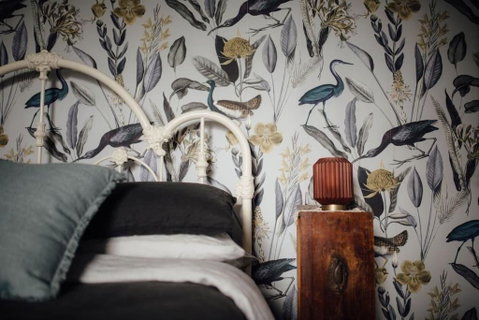 Luxury River Cottage, Gateway To The East Coast - Accommodation Cooktown 0