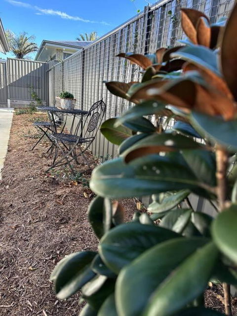 Magnolia Little Gem - Accommodation Cooktown 0