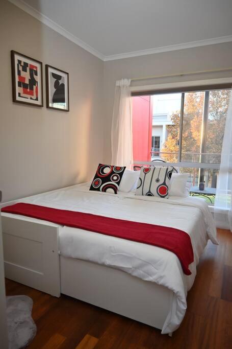 Mawson Red - Free Pool Access -Onsite Parking-Netflix-5 Mins To Mawson Interchange - Accommodation Cooktown 3