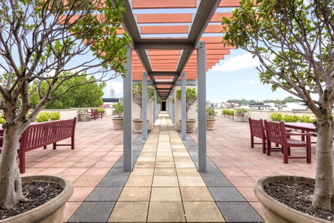 Nesuto Chippendale - Accommodation Cooktown 0