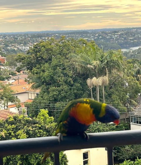 Mosman Views, 2bed, Parking, 15min Walk To Beach - Accommodation Cooktown 1