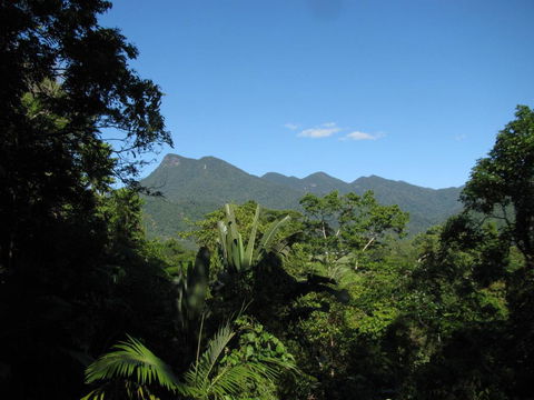 Mossman Gorge Bed And Breakfast - Accommodation Cooktown 0