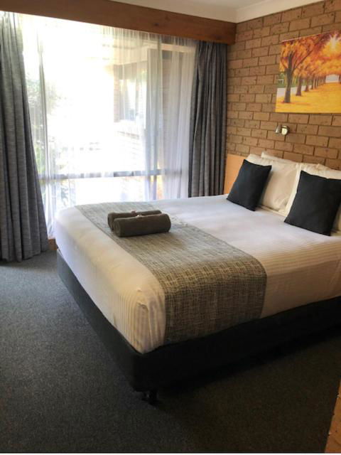 Muswellbrook Motor Inn - Accommodation Cooktown 2