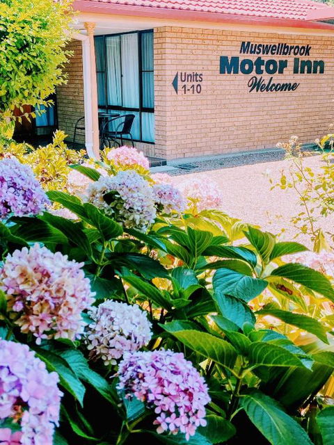 Muswellbrook Motor Inn - Accommodation Cooktown 0