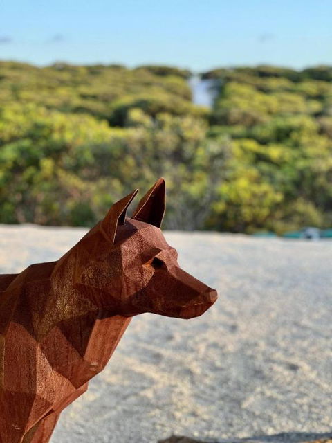 Native Dog Cabin - Accommodation Cooktown 2