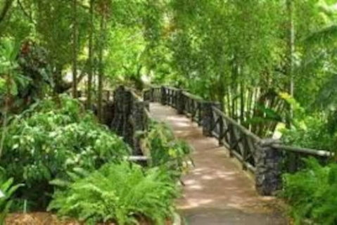 Paddington Pad With Back Deck And Free Car Space Close To Suncorp - Accommodation Cooktown 2