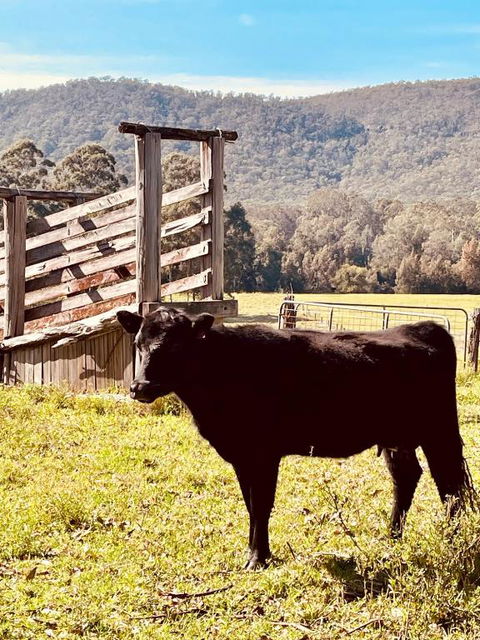 Peppercorns Riverside Farm Stay - Accommodation Cooktown 0