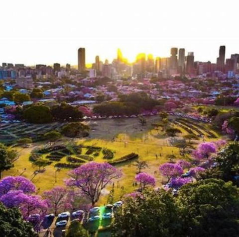 Perfect Haven In Spring Hill 2B1B And Parking - Accommodation Cooktown 2