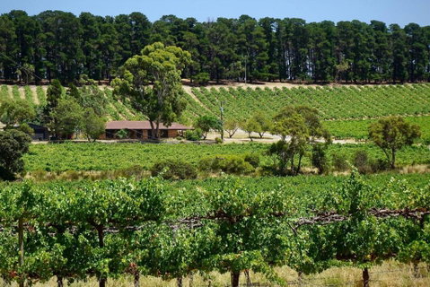 Picturesque Vineyard Farmhouse Nestled On 40-Acres - Accommodation Cooktown 0