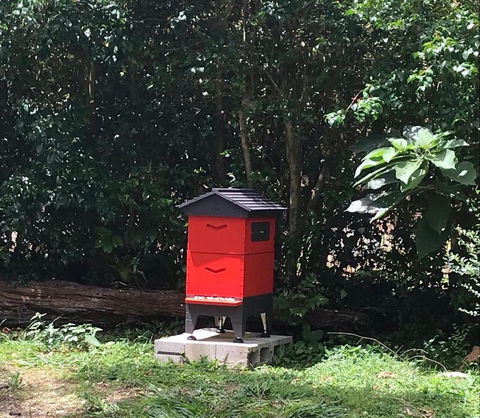 PK Illusions - Accommodation Cooktown 3