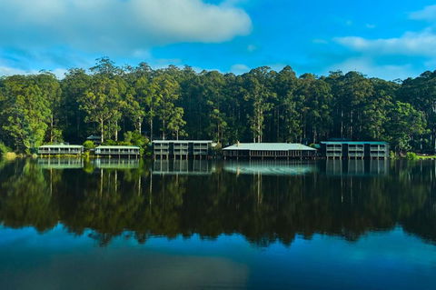 RAC Karri Valley Resort - Accommodation Cooktown 2