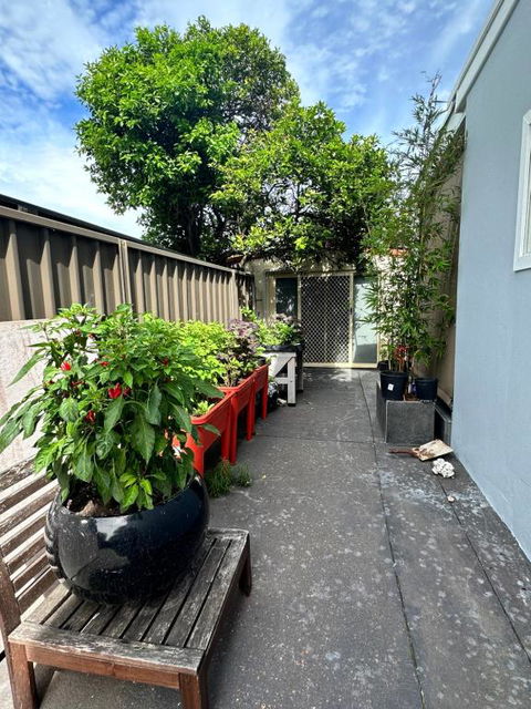 Private, Local Living Studio In Mascot, Airport - Accommodation Cooktown 2