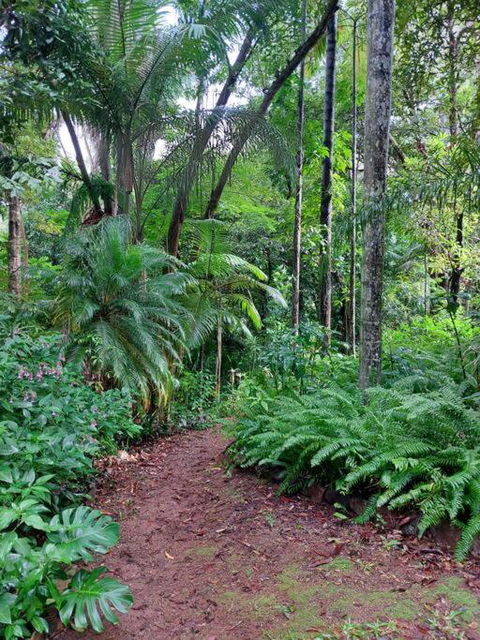 Rainforest Retreat-Fireplace-BBQ-3 Acres- - Accommodation Cooktown 0