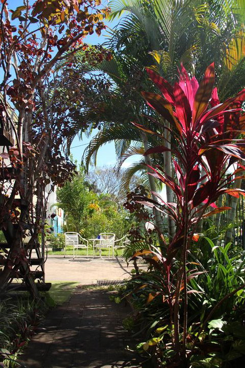 Asylum Cairns Hostel - Accommodation Cooktown 0
