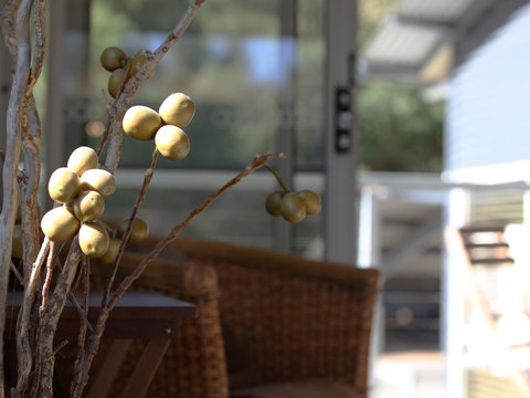 At The Gap Holiday Home - Accommodation Cooktown 3