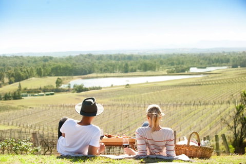 Audrey Wilkinson Vineyard - Accommodation Cooktown 0
