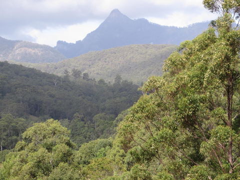 Babbling Brook Retreat - Accommodation Cooktown 2