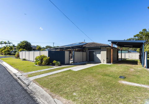 Baby Bundjalung - Accommodation Cooktown 1