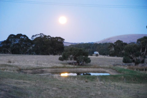 Back Valley Farm Stay Bed And Breakfast - Accommodation Cooktown 3