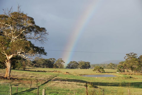 Back Valley Farm Stay Bed And Breakfast - Accommodation Cooktown 0