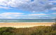 Banksia - Sawtell, NSW - thumb 3