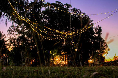 Banyan Tree - Accommodation Cooktown 0