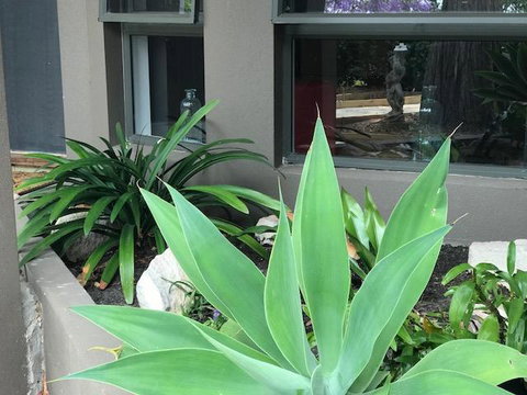 Baulkham Hills - Accommodation Cooktown 3