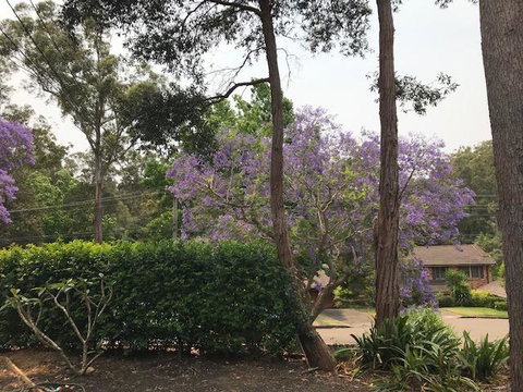 Baulkham Hills - Accommodation Cooktown 2