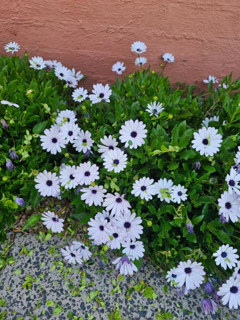 Reverie - Accommodation Cooktown 2